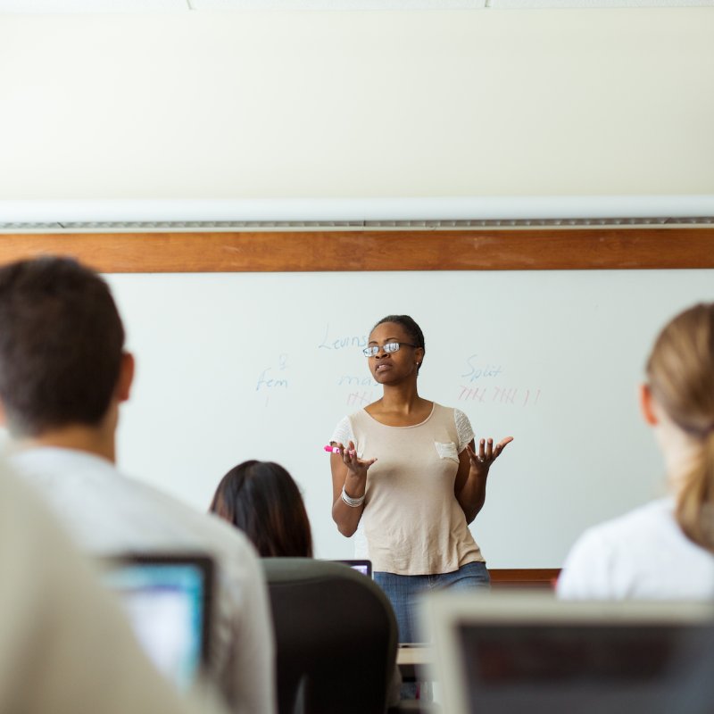 Psychology, Social Psychology Concentration, BS