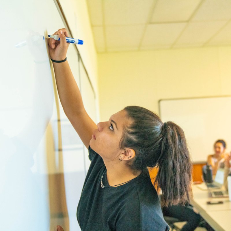 Global and Regional Studies: Latin America Concentration, BA