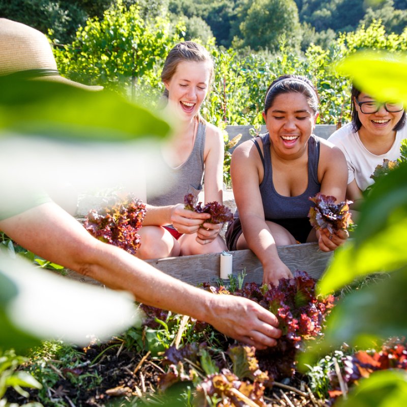 Justice, Community and Leadership Minor