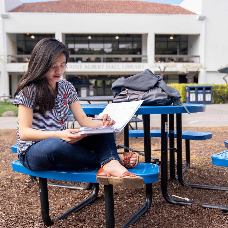 Professional Writing Certificate