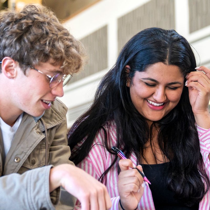 Business Analytics Degree (STEM)