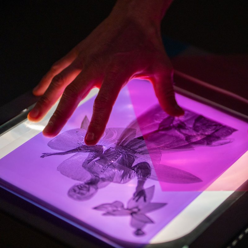 Digital Media Art Minor