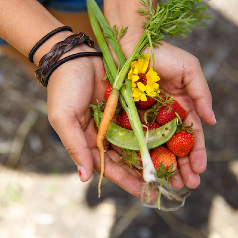 Kinesiology: Health Promotion, BA