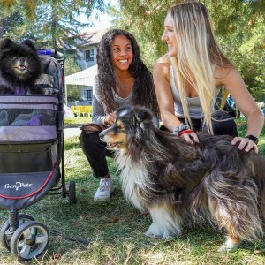 Students play with dog