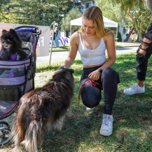 Students play with dog
