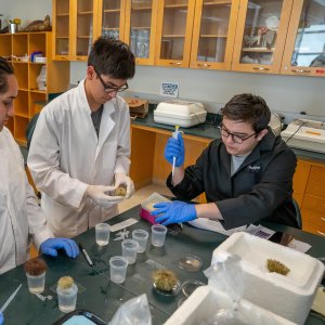 2 science students working with samples in a lab