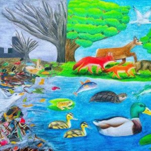 ROW Art Winner 2022 ; Yu, Chenxi, Grade 8 - Lost Wilds