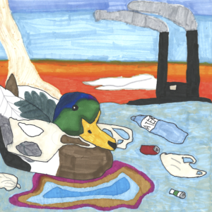 Reuse, Reduce, Recycle 