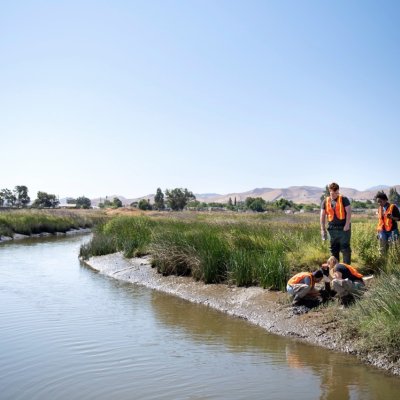 SRp Wetlands Colorful