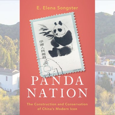 Book cover for Panda Nation by E Elena Songster with image of SMC campus in background