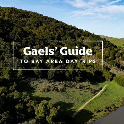 Gaels' Guide to Bay Area Daytrips over Rolling Green Hills of Lamorinda