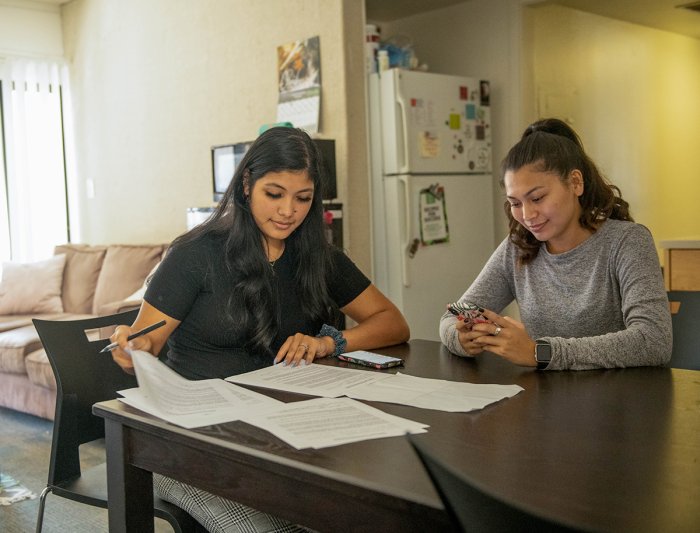 Two students study together