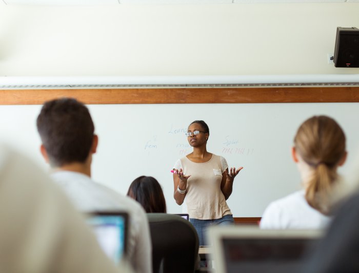 A professor is giving a lecture