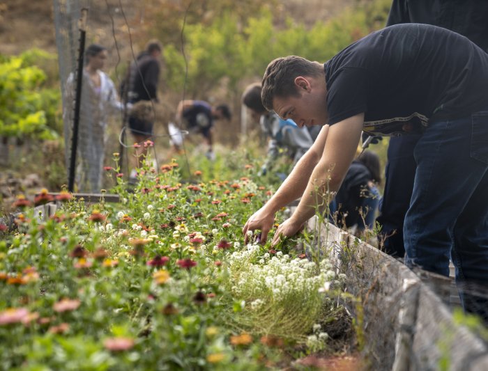 a student it tending to the garden 