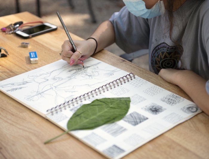 A student sketching leaf patterns