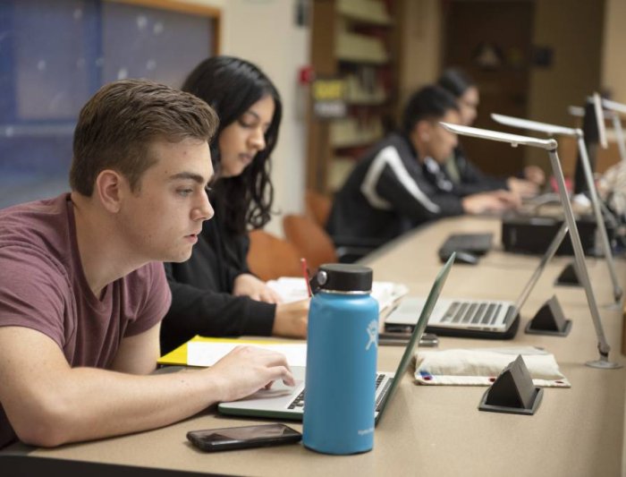 Projects and Workshops