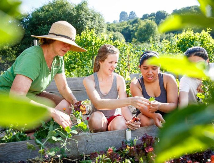 Three students and an instructor in a garden looking at leaves one student is holding.