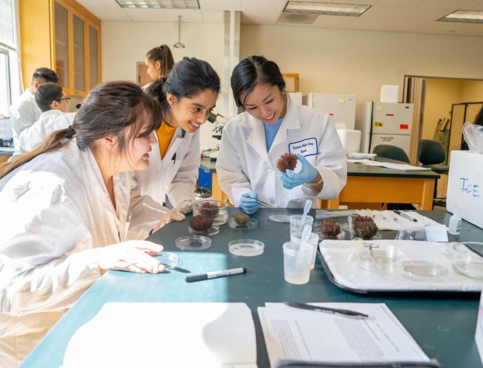 Students in the Biotech lab.