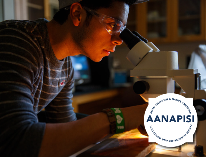 Saint Mary's College Asian American Native American Pacific Islander-Serving Institution