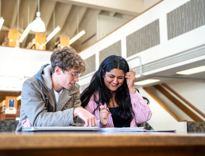 Students studying together in the library