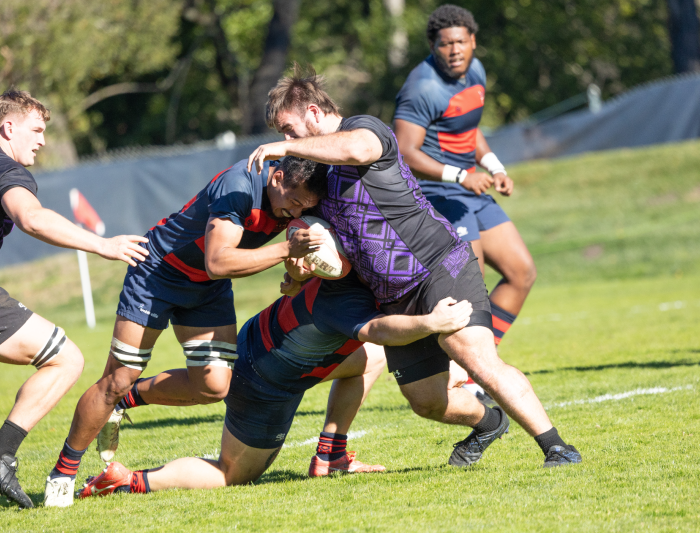 Men's Rugby