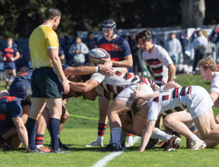 Men's Rugby