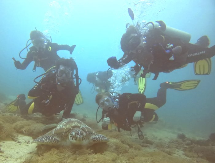 Students swimming with turtle