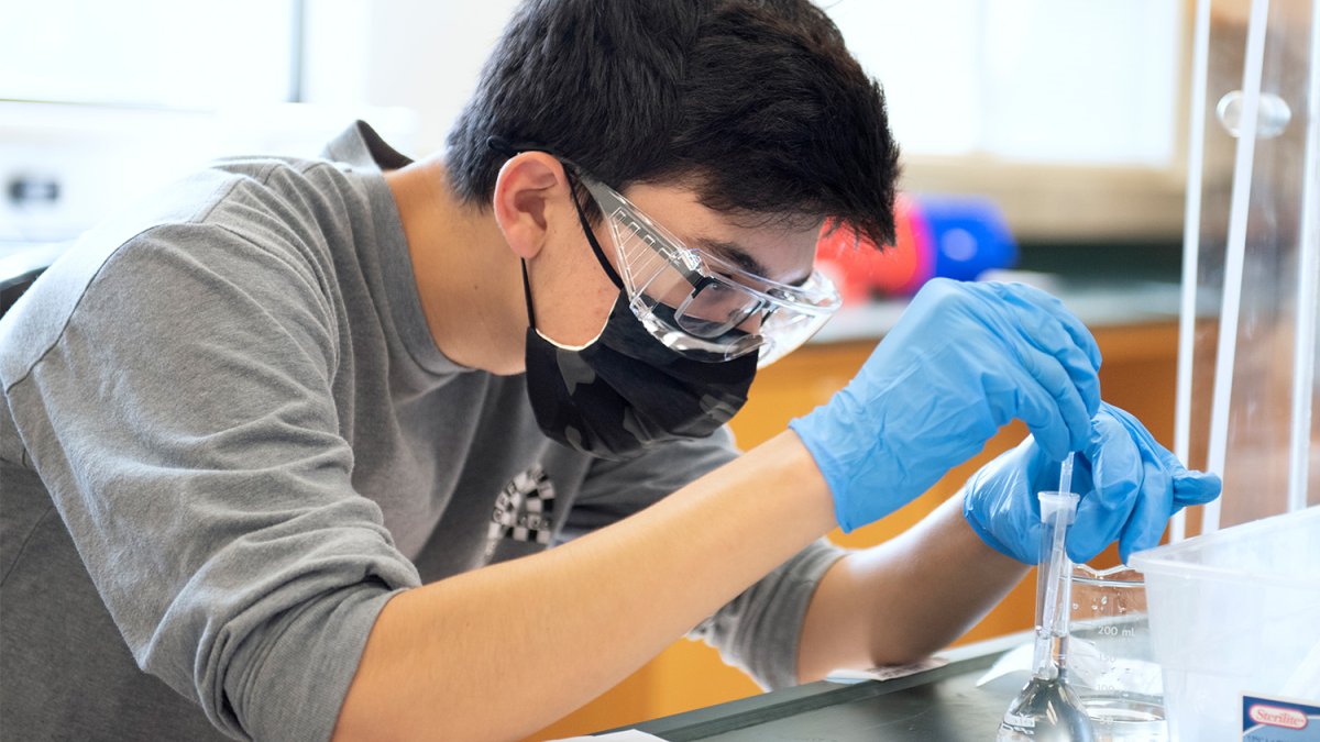student attends to science experiment
