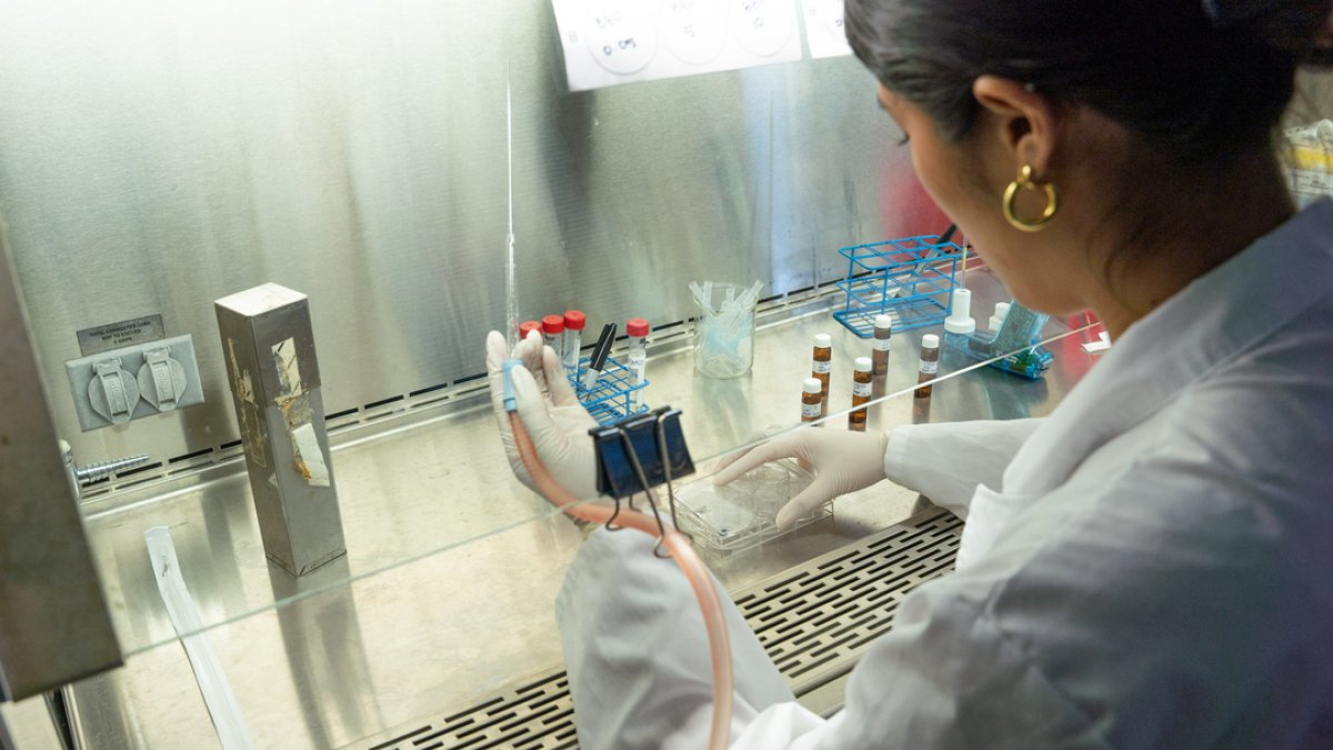 A student in a chemistry vent hood conducting cellular research