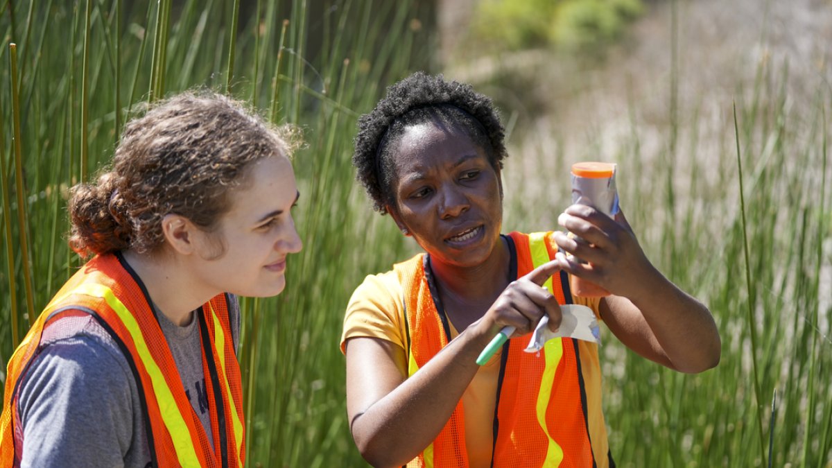 While outside, a professor and student are wearing reflective vests and looking at a test sample 