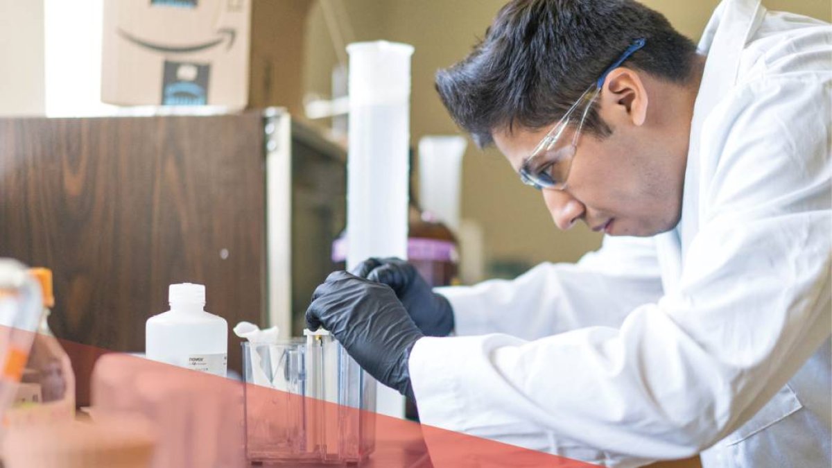 Biotech student examining a project.