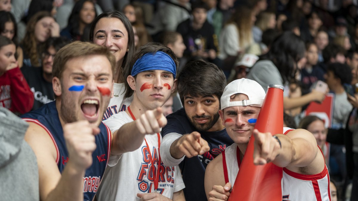 Students cheering in the stands