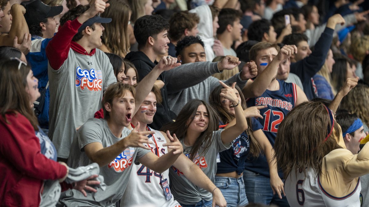 Students cheering in the stands