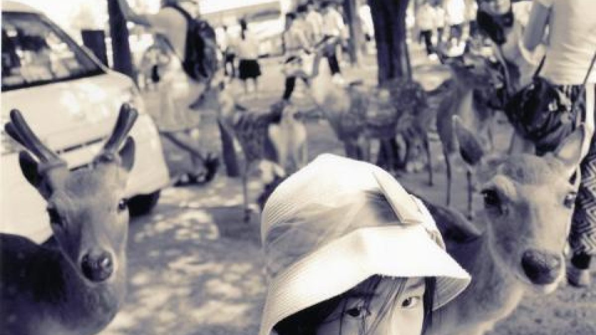 A young girl and a deer