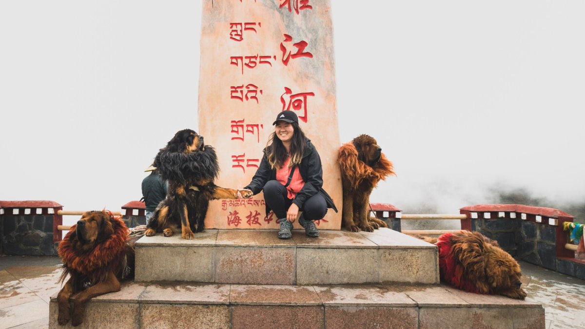 SMC Student in China