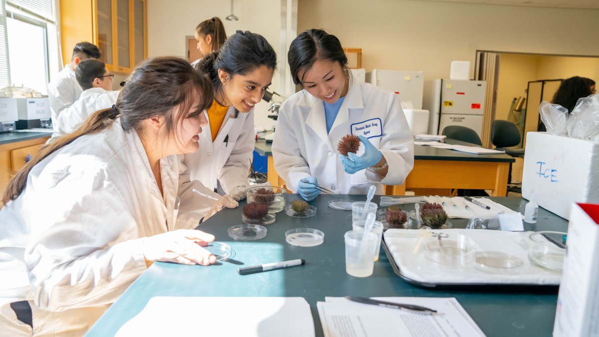Students in a lab gathering around their experiments