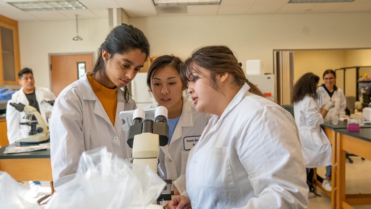 Three students looking at a microscope in a lab class