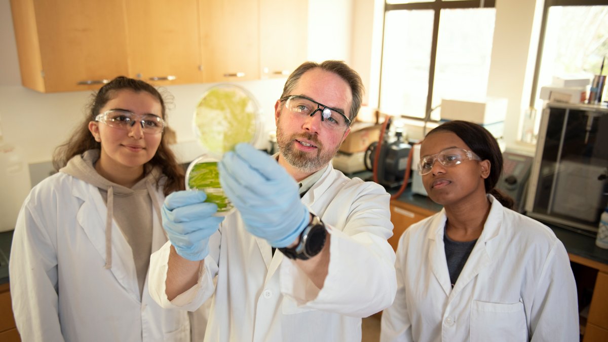 Students and a professor looking at algae samples