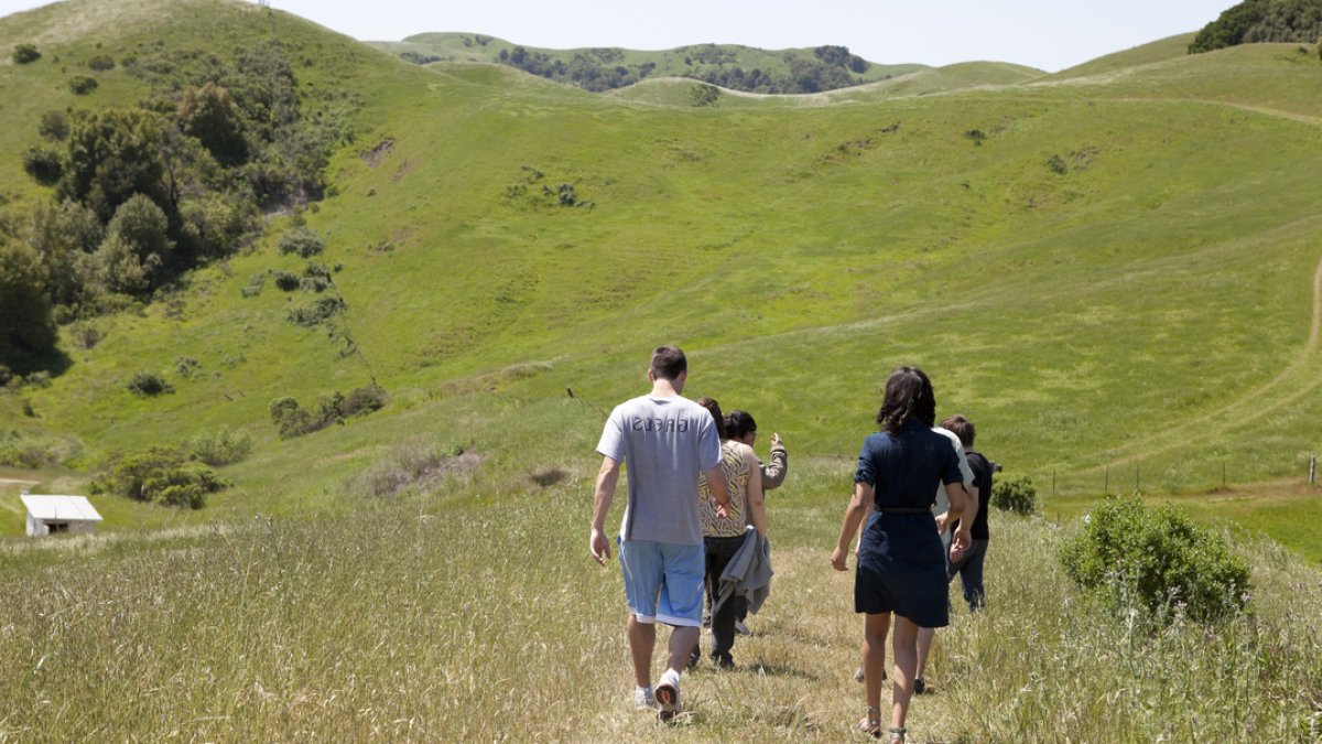 People taking a walk in green hills
