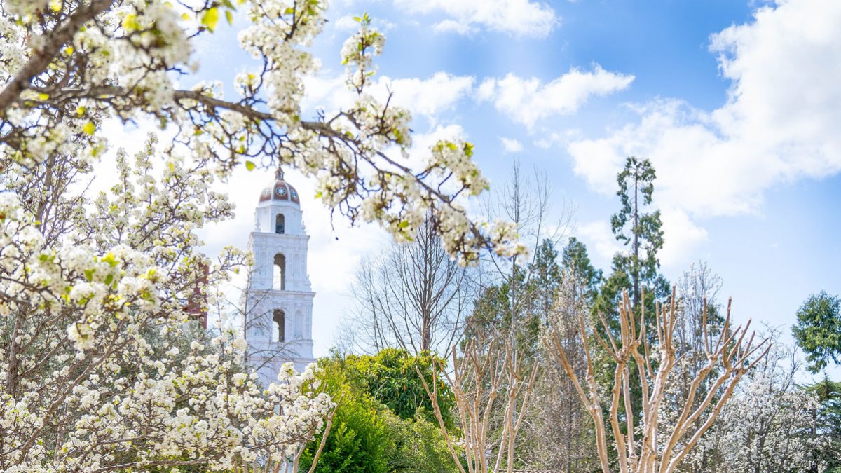 Saint Mary's College Campus in the Spring