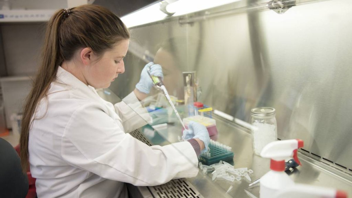 Student working with pipette